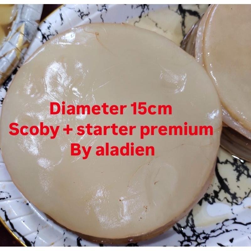 

Scoby Sehat / Kombucha / Starter Premium by Aladien