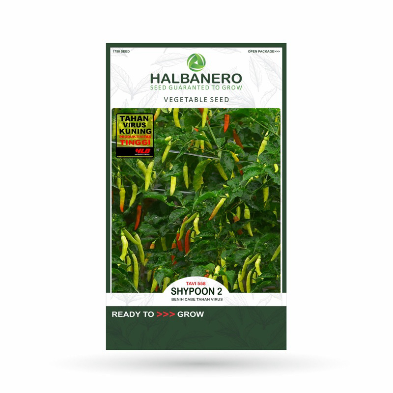 Benih Cabe Rawit Shypoon 2 Cabai Rawit Halbanero