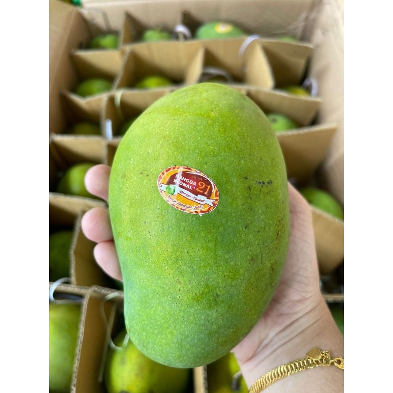 

Mangga alpukat klonal 21 (isi 10 kg)