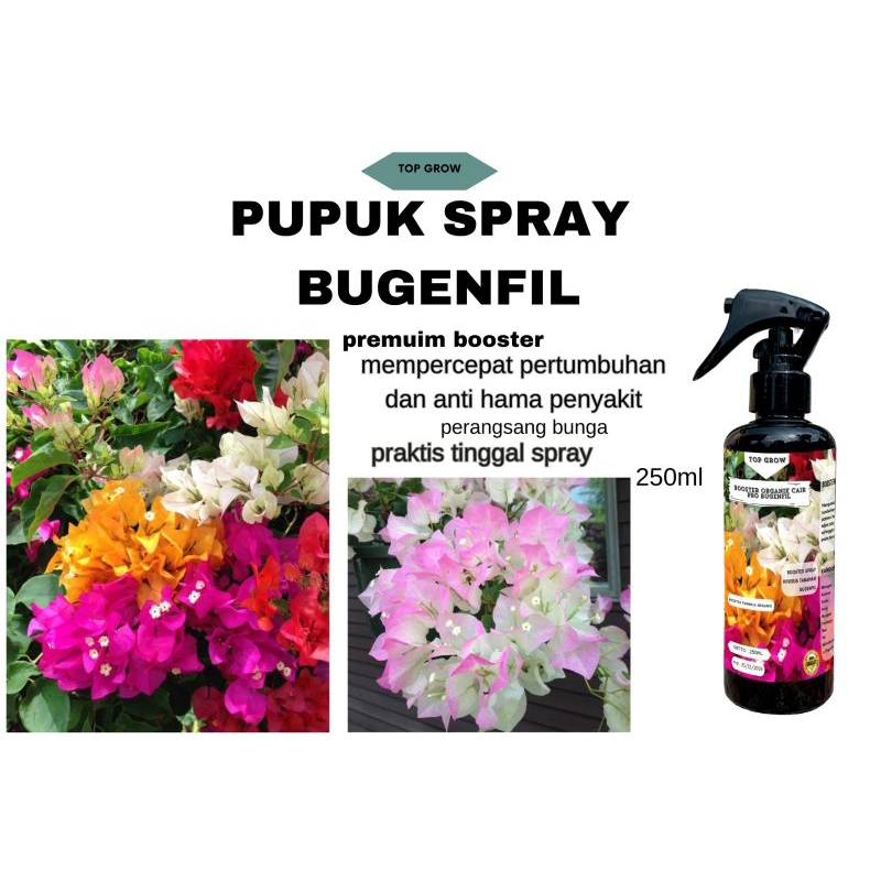 Pupuk Penyubur Pelebat Bunga Kertas - Pupuk Bougenville - Pupuk Bunga - Pupuk Organik Spray Tanaman