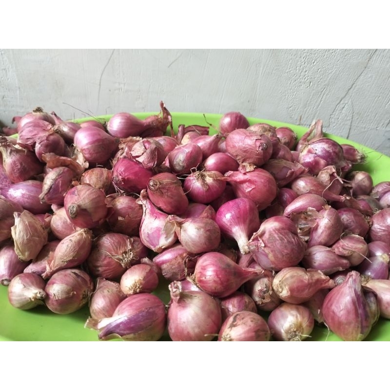 

Bawang Merah 1kg bonus 250gr
