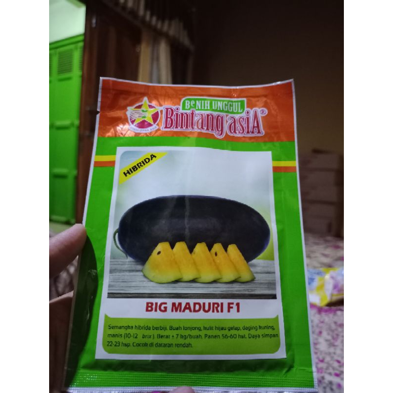 BENIH SEMANGKA BIG MADURI F1 20 GRM  - Bibit semangka inul kuning Bintang Asia