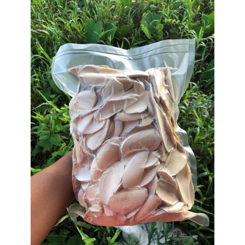 

(Terlaris) akar pasakbumi keripis/seles 500gr Gratis ongkir