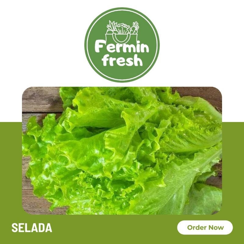 

Fermin Fresh, Selada 250gr