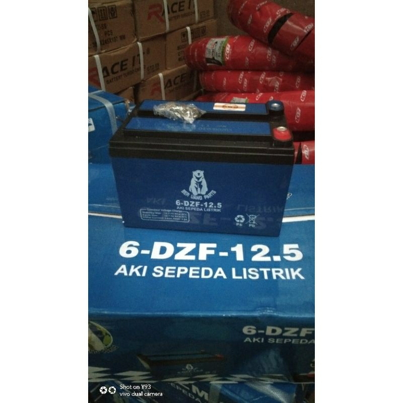 aki sepeda listrik