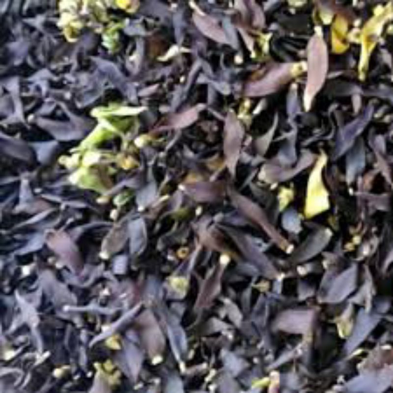 

bunga kenanga kering 20g