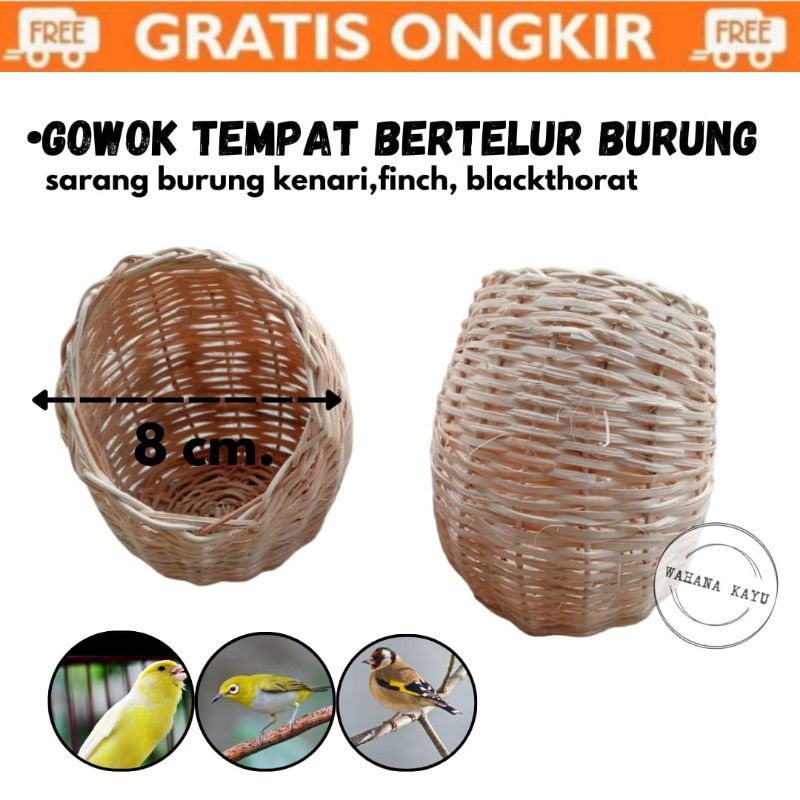 gowok kenari finch glatik | sarang burung rotan | sarang burung finch