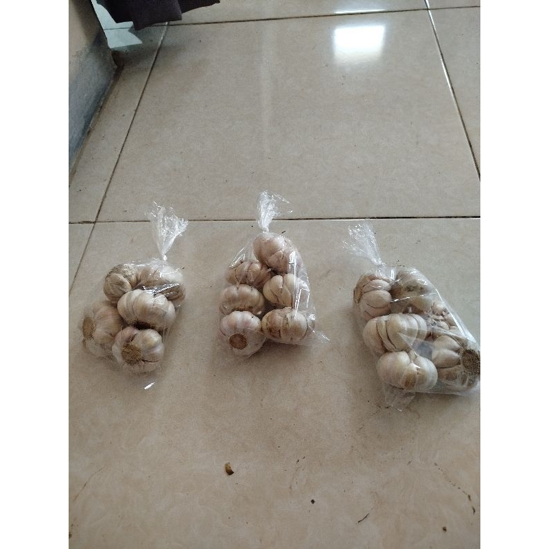 

bawang putih bawang sinco
