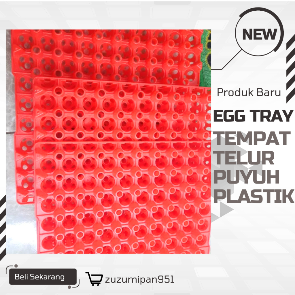 tempat telur puyuh plastik|Egg tray|Egg tray puyuh plastik kuat kapasitas 90 butir