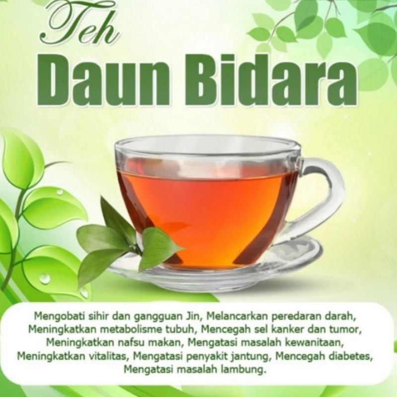 

Teh Celup Murni Daun Bidara Ruqyah