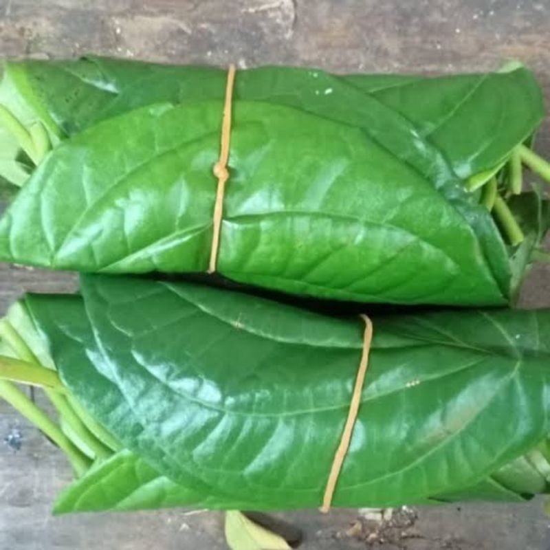 

HERBAL DAUN SIRIH HIJAU SEGAR