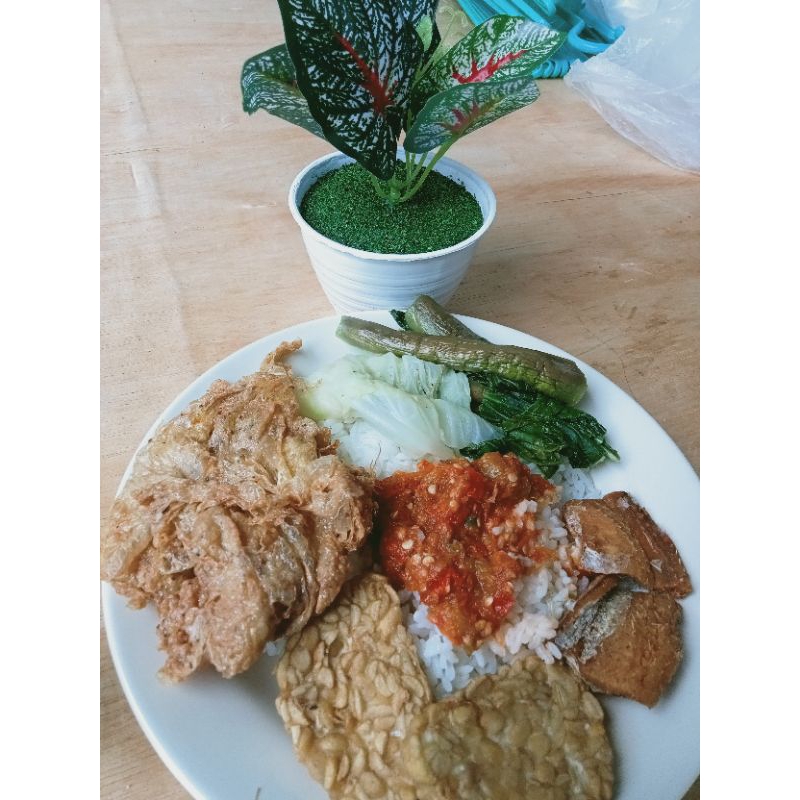 

SEGO TEMPONG
