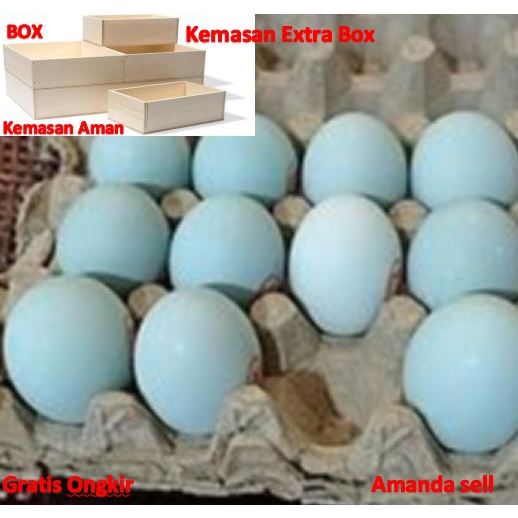 

TELOR bebek / telur bebek mentah langsung dari ternak gratis packing extra Box