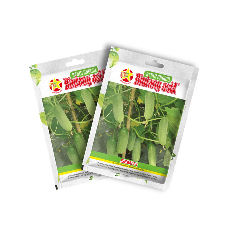 Benih Timun Semi