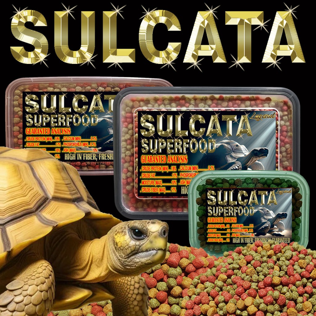 SULCATA SUPERFOOD PELLET SUPER MAKANAN TORTOISE CENTHROCHELYS SULKATA KURA-KURA DARAT PAKAN TORTO AD