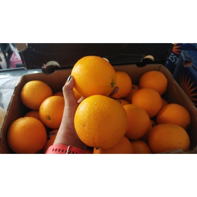 

jeruk navel aust sunwest blue size 64/ kg