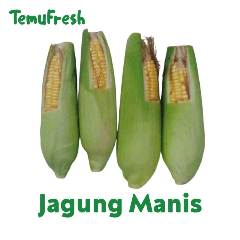 

Jagung Manis per pack - Sayur Sayuran Segar - TemuPawon