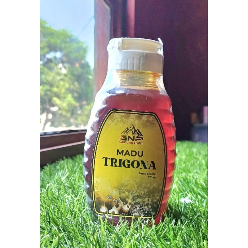 

Madu Trigona Super 330gram