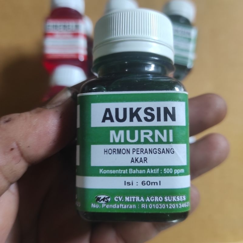 GA3 Auksin hormon perangsang akar ..untuk mempercepat pertumbuhan akar pohon