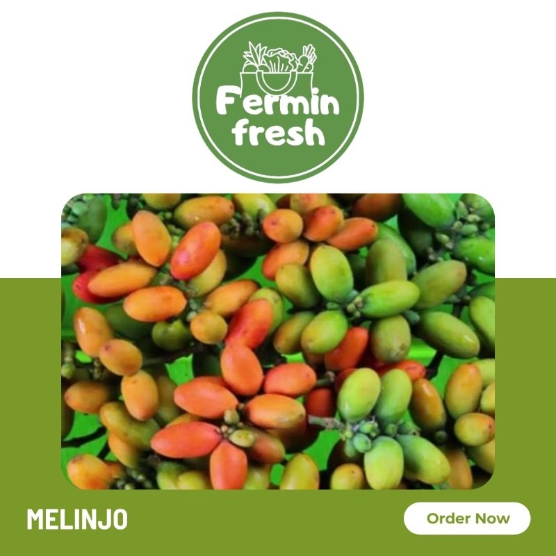 Fermin Fresh, Melinjo segar 100gr