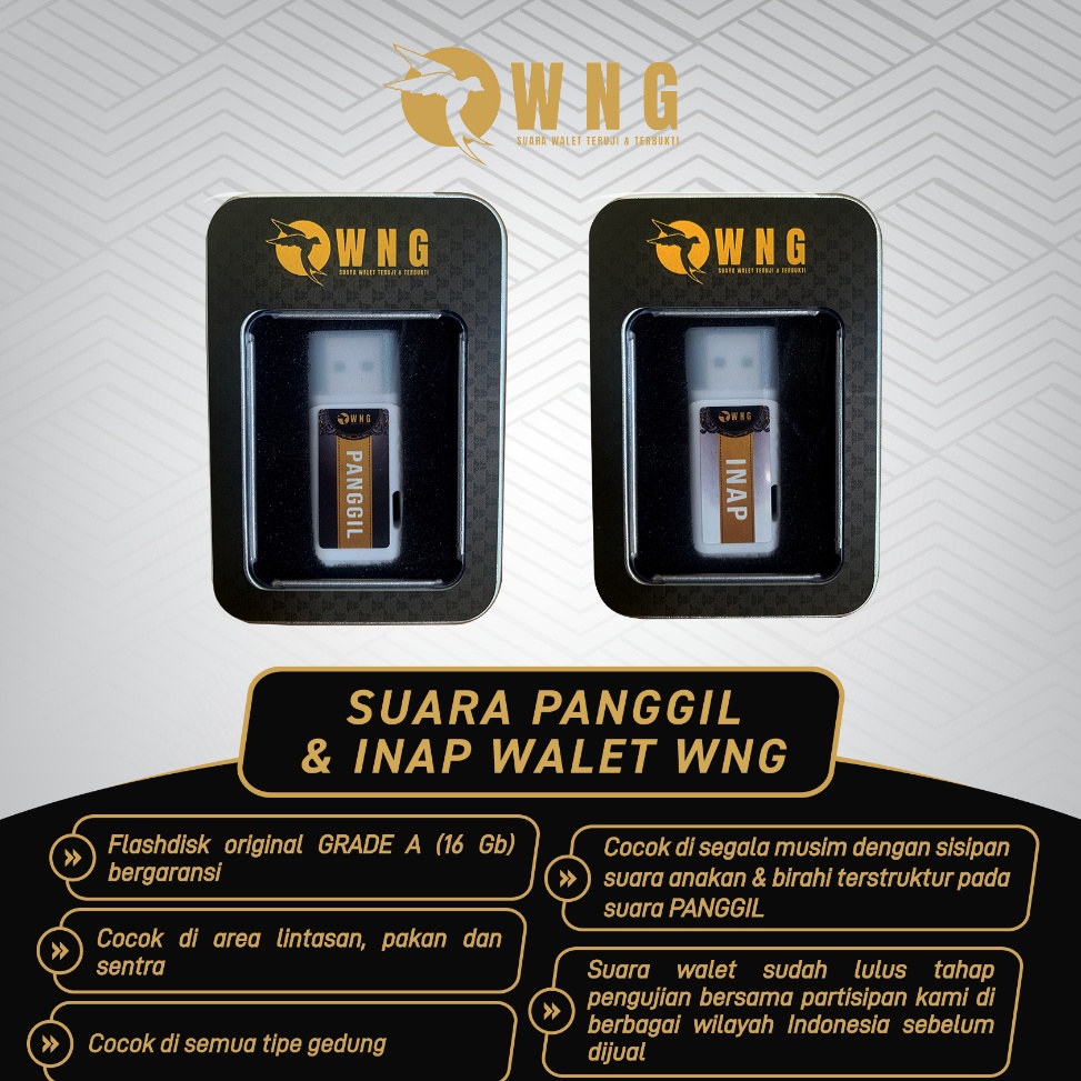 Suara Walet Panggil dan Inap Original WNG  Suara burung Walet  Suara Panggil dan Inap Walet Mp3  Jua