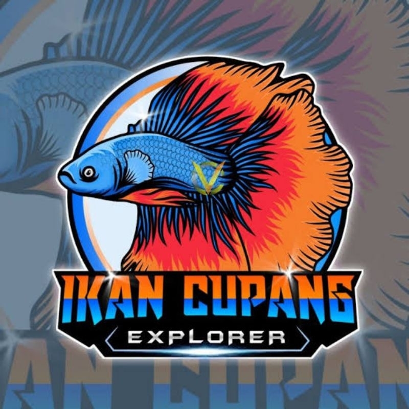 cupang kober77