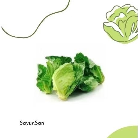 

Baby kailan segar / cuciwis / ciciwis / keciwis 250gr 500gr 1kg