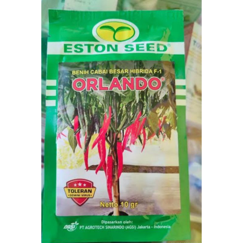 bibit cabai besar hibrida ORLANDO F1 isi 10 gram