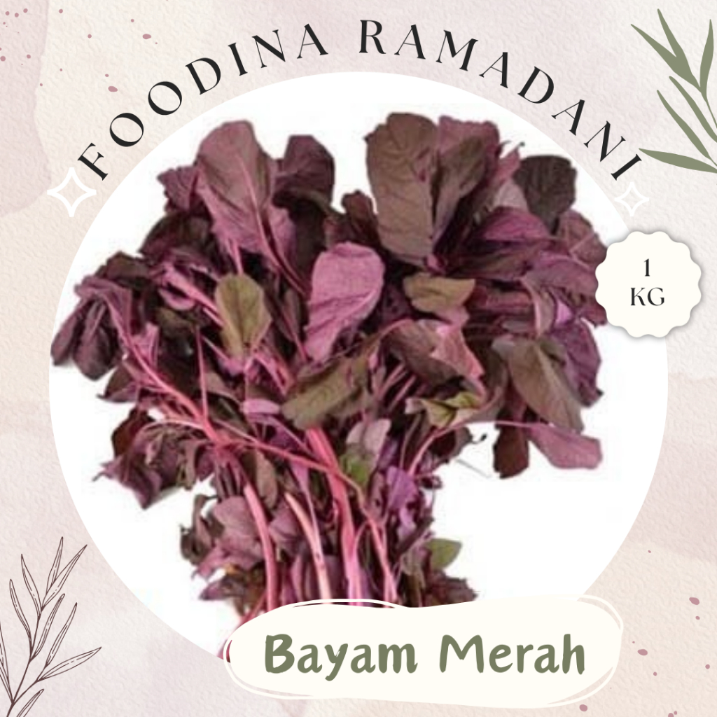 

BAYAM Merah - Red Spinach Fresh [ Berat 1.000gr ] Harga Per KG