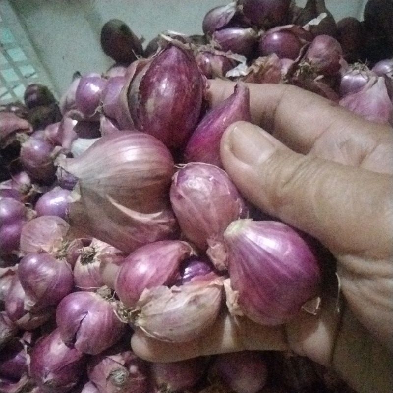 

1 kg bawang merah.