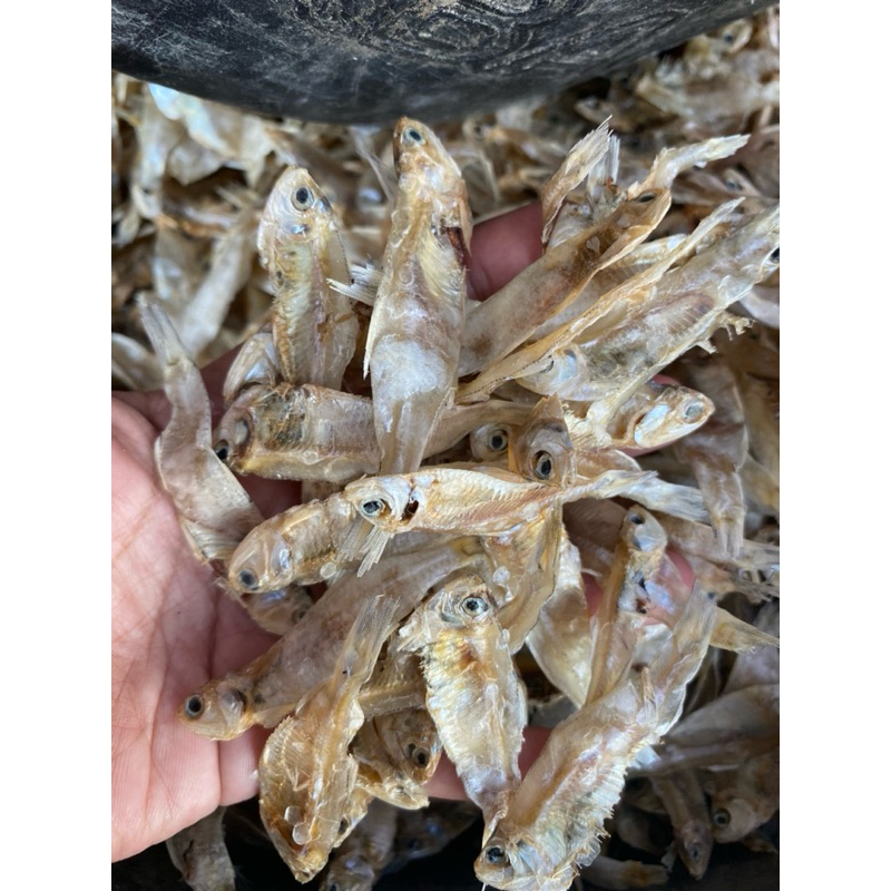 

ikan KALAPAN/Pakang TAWAR krenyess Termurah✔️