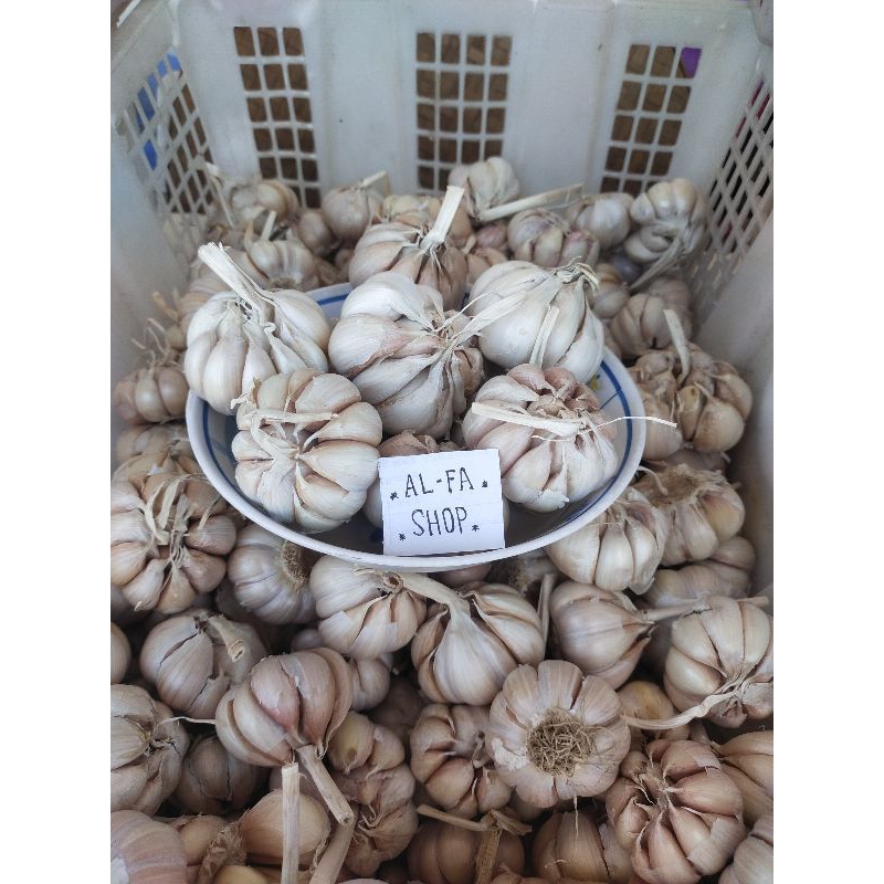 

bawang putih sinco bersih 1/2 kg