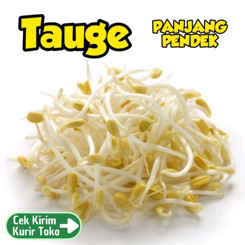 

TAUGE PER PACK - Sayur Tokolan Kecambah per Paket - TemuPawon