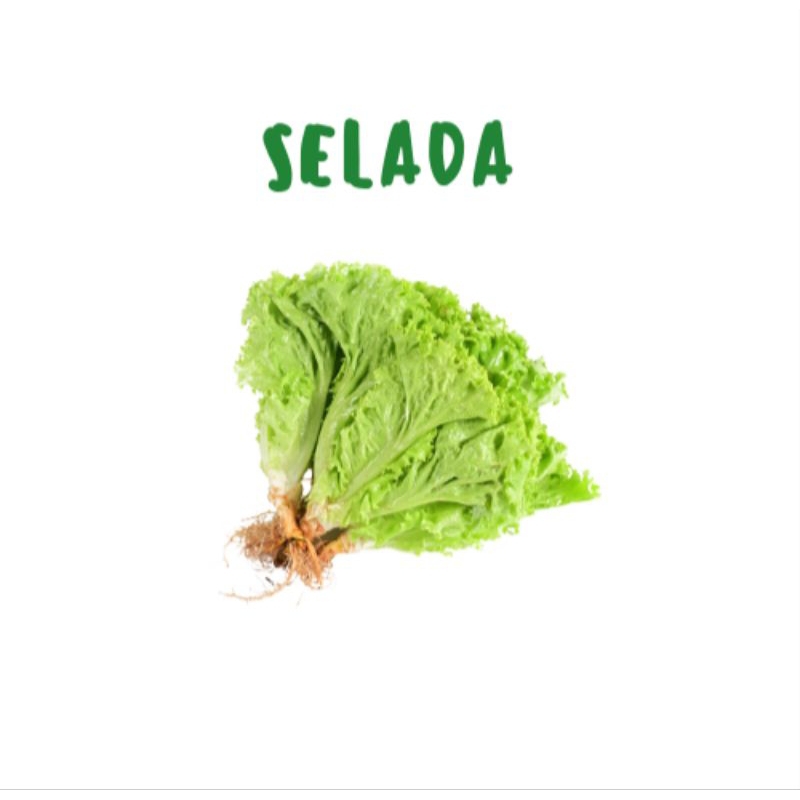 selada 250gr