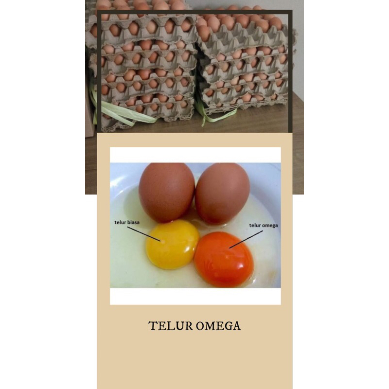 

Telur Omega 1 kg
