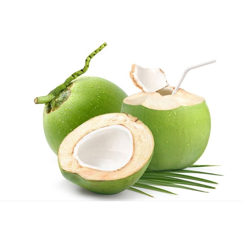 

Kelapa Muda / Kelapa Segar / Kelapa Untuk Kesehatan / Asli dari pohon langsung