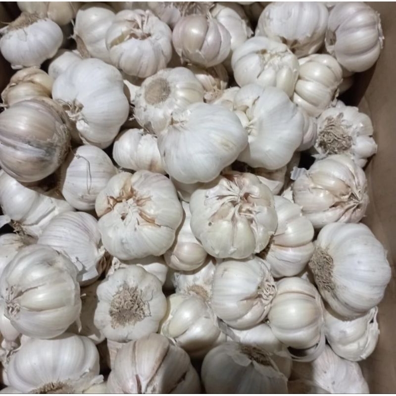 

BAWANG PUTIH 1kg