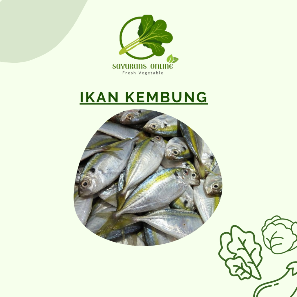 

ikan kembung fresh