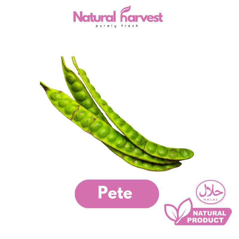 

Petai Super 1 Papan | NaturalHarvest!