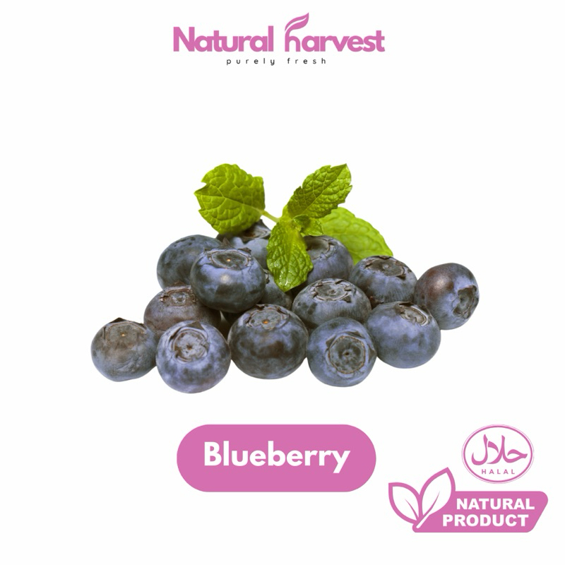 

Blueberry Fresh Import Super 125gr | NaturalHarvest!