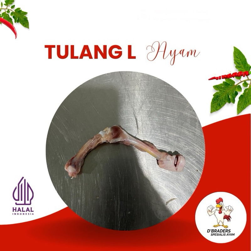 

Tulang Ayam L