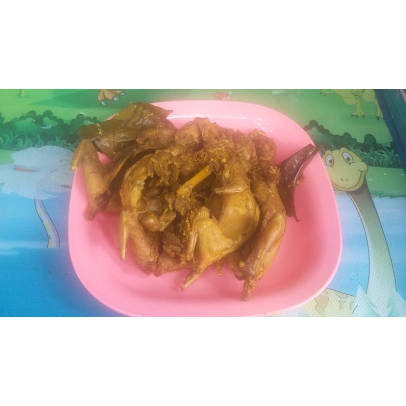 

daging bajing / daging tupai obat alami diabetes / gula darah