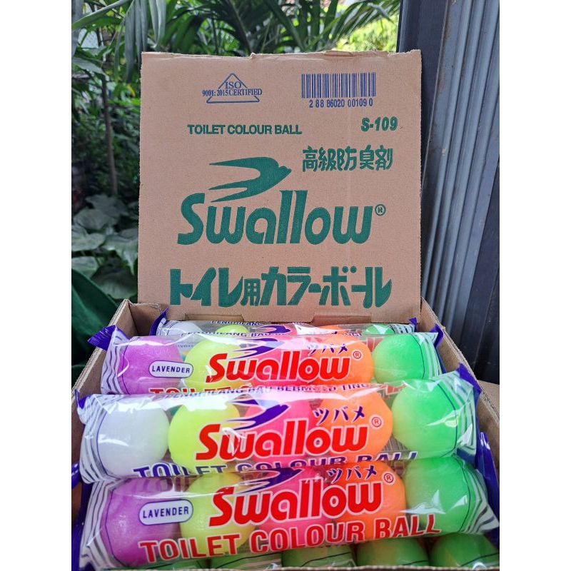 KAPUR BARUS TOILET SWALLOW