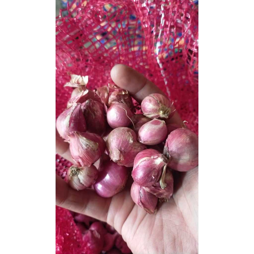 

Brambang Bawang Merah 1 kg