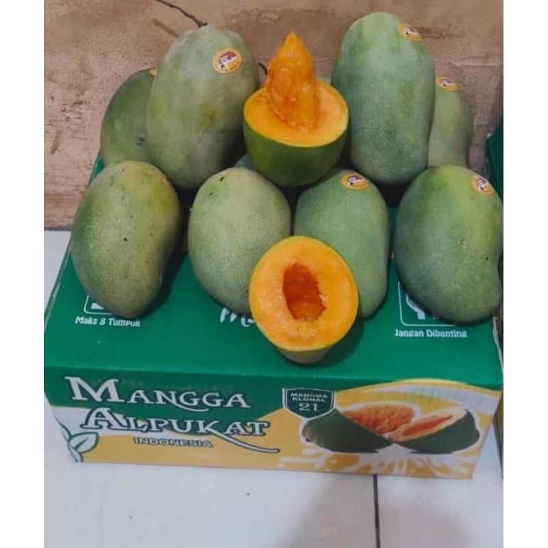 

mangga alpukat