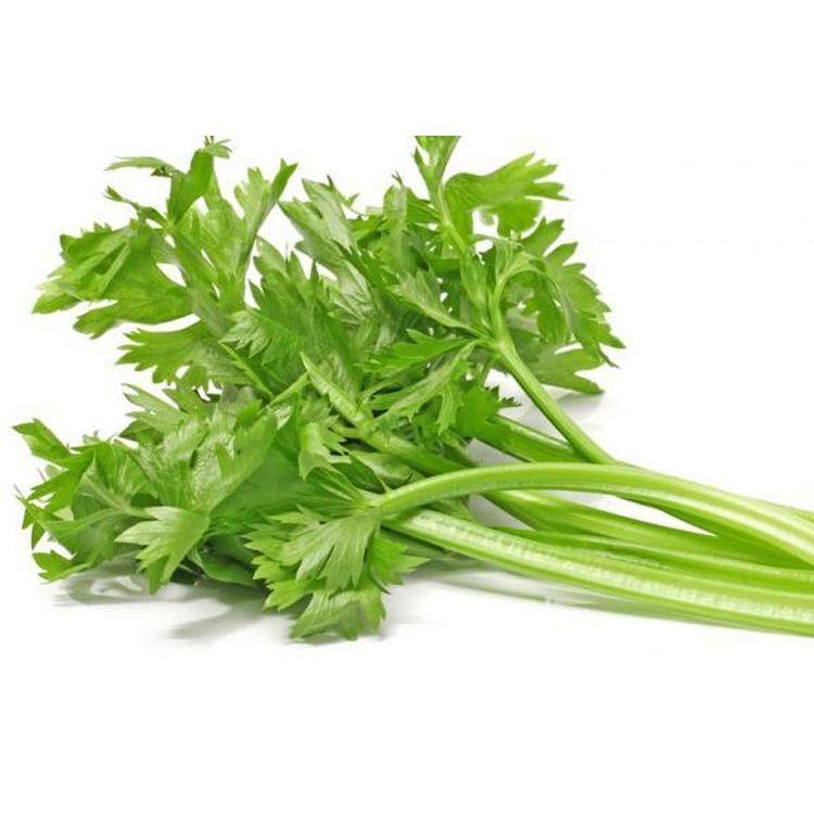 

Kirim Instan Seledri Segar 100 gram Berkah Dunia Sayur