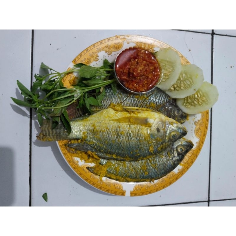 

ikan segar marinasi bumbu kuning gratis sambal+lalapan.