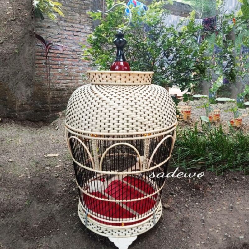 Sangkar burung perKutut tebok lepas