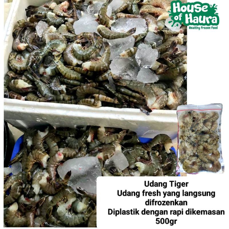 

Udang tiger