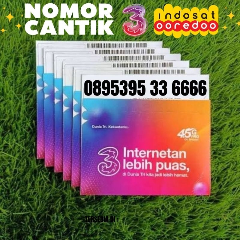 Nomor Cantik Indosat Tri 0895395 33 6666